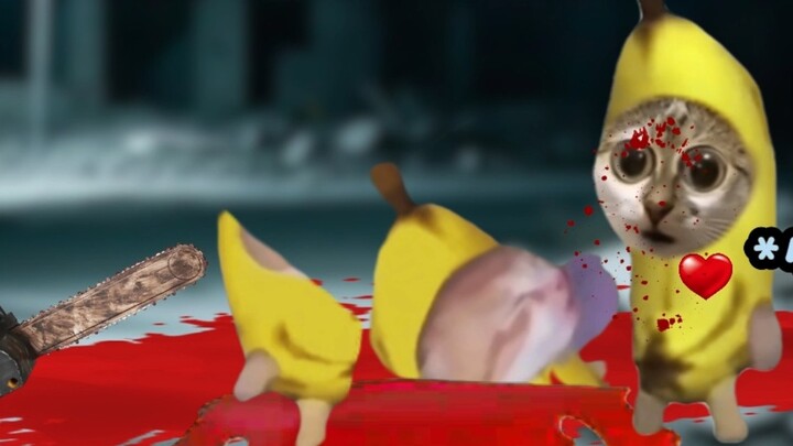 Dù có là trò lừa, anh cũng phải đuổi theo em