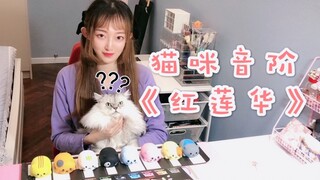 喵喵喵？猫咪音阶演奏鬼灭之刃《红莲华》