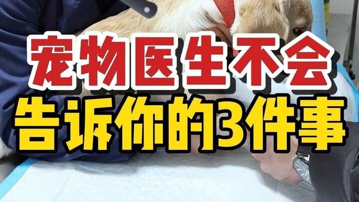 Three Secrets to Saving Money on Cat Care—They’d Cut My Throat Before I’d Reveal Them!