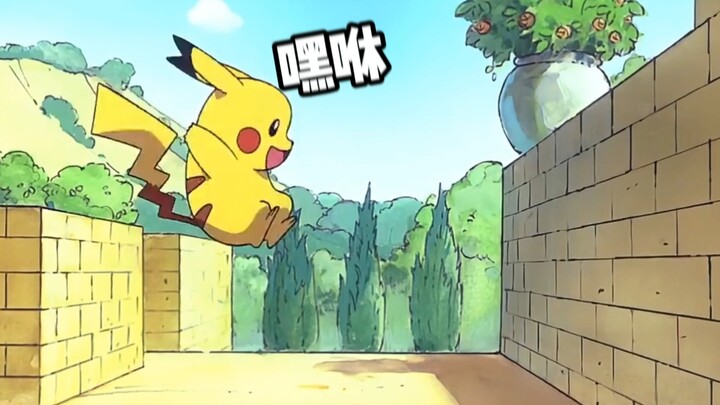 ชมเหล่าโปเกมอนน่าเอ็นดูเล่นซ่อนหาด้วยกัน