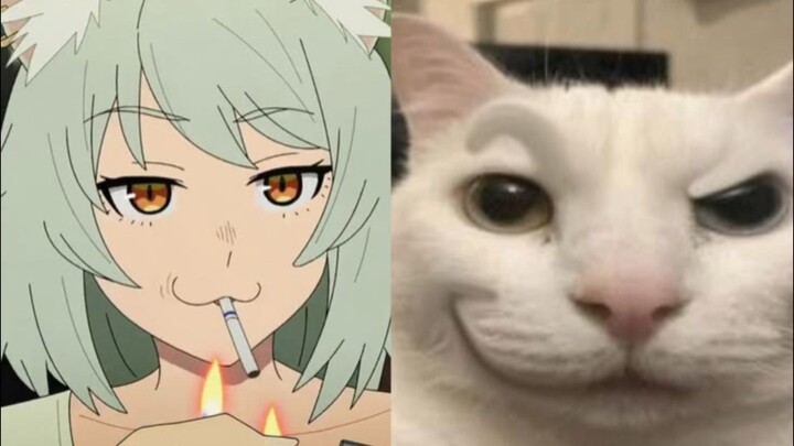 pilsss Jangan Tonton Anime 21+ Nih kucing plenger parah jir..‼️😭🤣