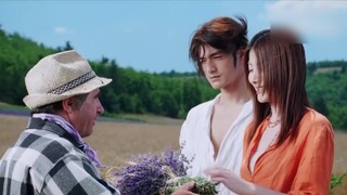 【Lavender】Takeshi Kaneshiro & Kelly Chen (Goddess of Beauty)
