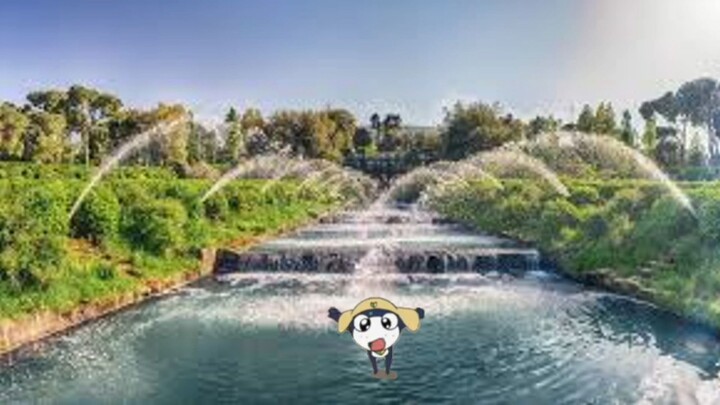 tamama wonderland  amv