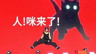 原创编舞 | 猫【标记酱×群星舞会】