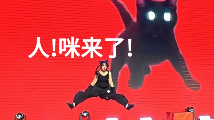 Original Choreography | Cat [Marking Sauce × All-Star Dance Party]