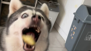 I've eaten some afterimages.