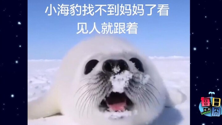 [Daily Awkward Moment] I was worried you didn’t get a gift for Qixi, so here’s a little heart for yo