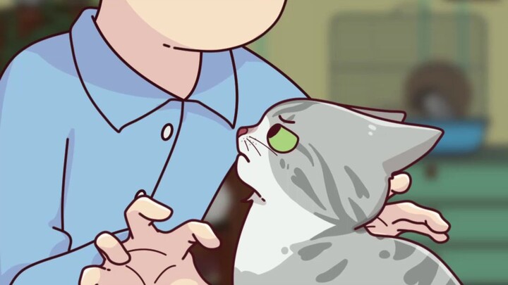 Tại sao mèo không thích bị người khác hôn?