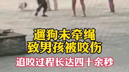 Dắt chó không xích khiến bé trai bị cắn thương, quá trình rượt đuổi kéo dài hơn bốn mươi giây