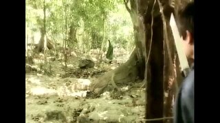 Encantandia 2005-Full Episode 100