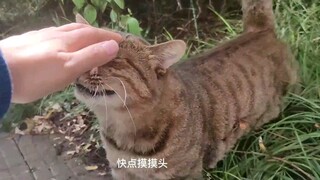 Anh ấy hẳn thích tôi.