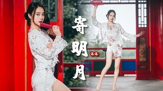 寄明月，旗袍开叉，又火又辣~