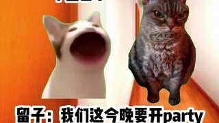 【มีมแมว】ปาร์ตี้ผู้อพยพชาวจีนช่างสร้างความอบอุ่นใจจริงๆ...