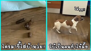 รวมคลิปตลกๆ : เราไม่ได้ทำจริงๆนะมานุด!!