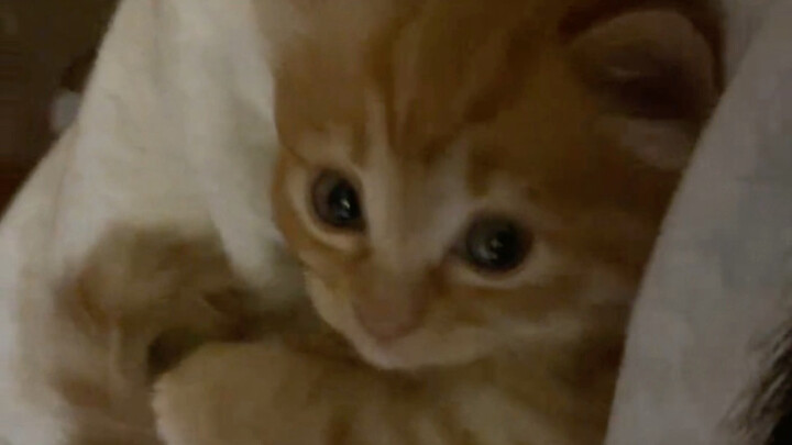 Mimi, you make Mom so proud in front of her friends!