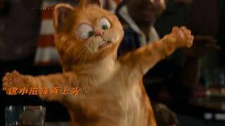 “加菲猫的王子身份” #加菲猫 #猫咪