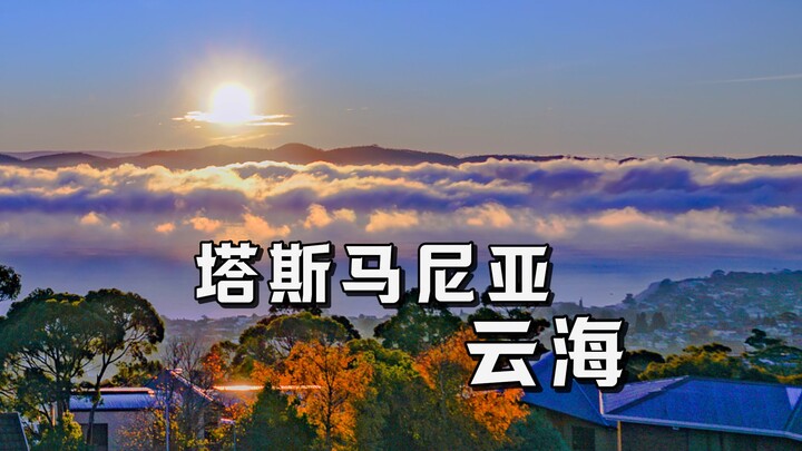 【Đầu bếp Tây Neil】Đưa bạn ngắm biển mây trên hòn đảo hình trái tim