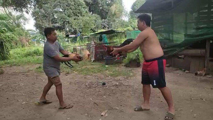 Sparring of 24Million Grey of idol PA vs Allen Roundhead xHatch