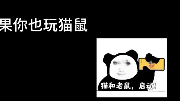 也许你不认识我 但一定看过我剪的猫鼠视频