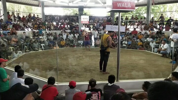 OGK sweater kelso (win) @ sta barbara coliseum