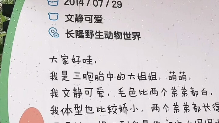 حقق هذا الفيديو 36.3 مليون مشاهدة و21 ألف إعجاب على Douyin (؟)