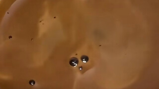 Hamster jatuh ke dalam kopi