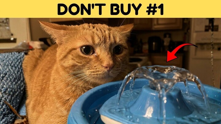 Testing 5 Popular Cat Water Fountains to Keep Picky Eaters Hydrated Every Day