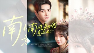 GIÓ NAM CHẬM RÃI HIỂU LÒNG TÔI