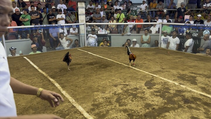 1st Fight Win 🏆 Lipa Arena Cockpit