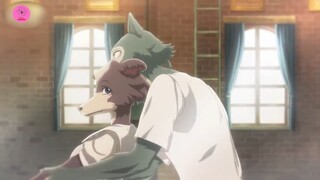 Beastars - AMV - The Wolf #anime #schooltime