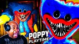 SESAME Street FROM HELL! | Poppy Playtime