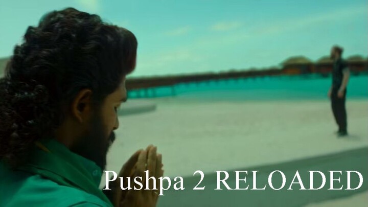 Pushpa 2 RELOADED (2025)