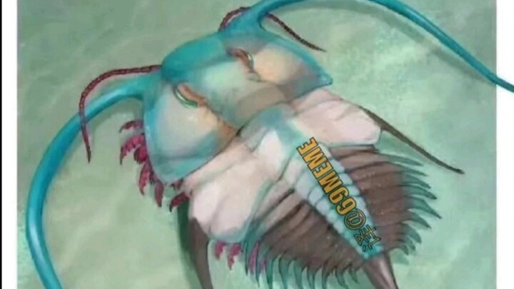 初音过去