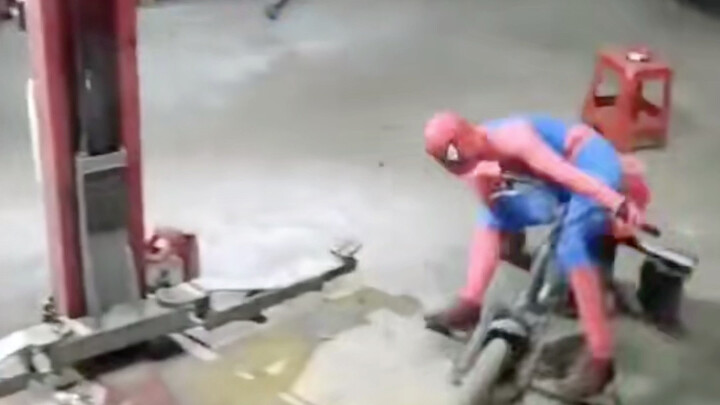 จับบ้านแมงมุม