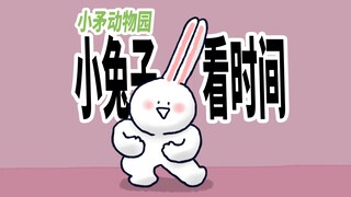 【小矛动物园】小兔子看时间，真方便！