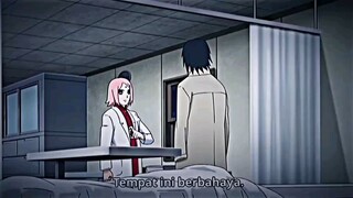 sasusaku