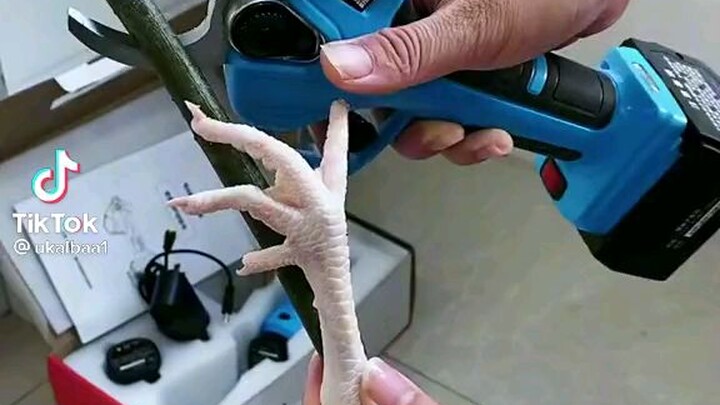 I'm Glad Chicken's Are Safe using this