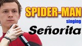[Remix]Spider man's otomad <Senorita>|Tom Holland