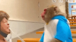 พื้นที่แสดงความคิดเห็นทำให้ฉันสัมผัสได้ถึงความจริงใจที่ยังคงมีอยู่ในโลกนี้!