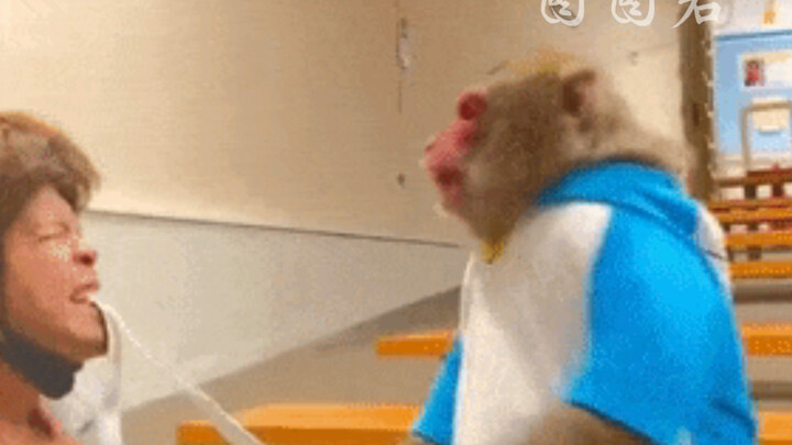 พื้นที่แสดงความคิดเห็นทำให้ฉันสัมผัสได้ถึงความจริงใจที่ยังคงมีอยู่ในโลกนี้!