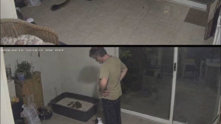 "Meow: I'm innocent! I'm innocent meow!!"