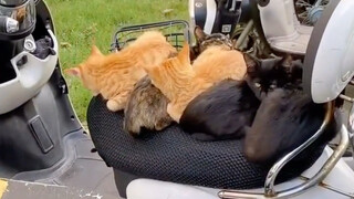 ตื่นเช้ามา ไม่คาดคิดว่าจะเจอฉากแบบนี้