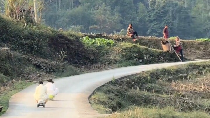 I see these two village bullies causing trouble every day.