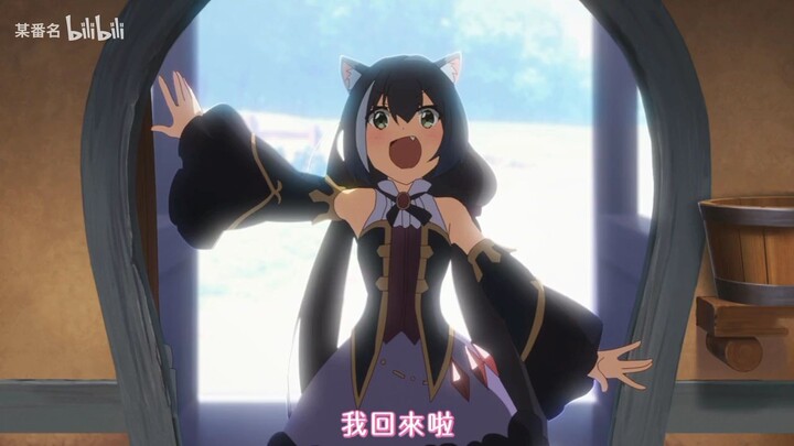 Mèo này cute quá 🤩