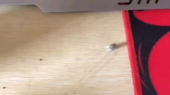 Minum lagi satu teguk