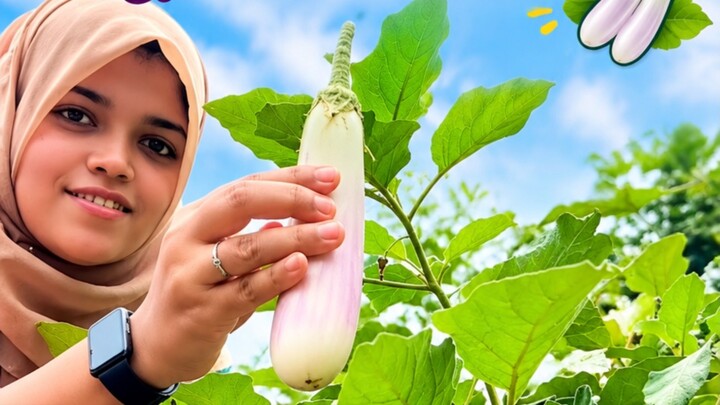 আমাদের বাগানের সুন্দরী রেয়ার বেগুন #fbreels #agriculture #viral #fblifestyle #malaysia
