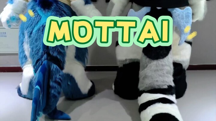 【Royal Cat×1to】MOTTAI Apa yang terjadi ketika seekor hiu bertemu dengan seekor kucing?