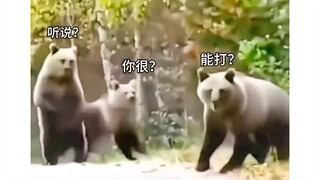 听说你很能打？