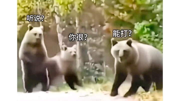 听说你很能打？