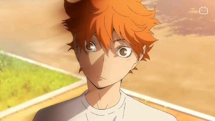 Shoyo~San🔥|Haikyu